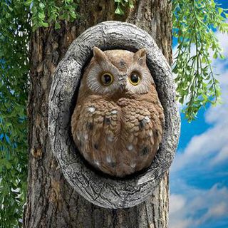 Octavius Knothole Owl tree sculpture