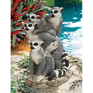 Ring tailed Lemur Family